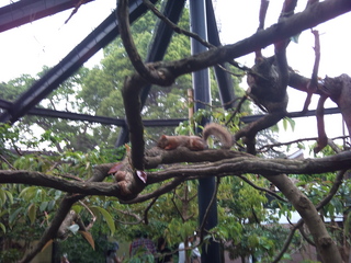 2011-05-22 12.59.06.jpg